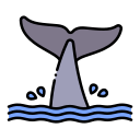 Море 
