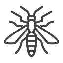 insectos icon