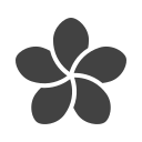 blume 