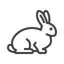 가게 icon