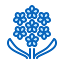꽃 