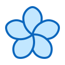 blume 