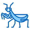 inseto 