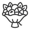 fruta icon