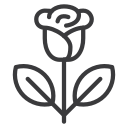 flor icon