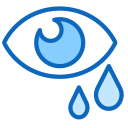 Eye 