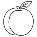 fruta icon