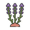 naturaleza icon