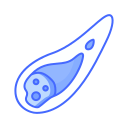 espacio icon