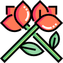 rosas icon