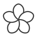 blume 