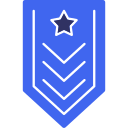 insignia icon