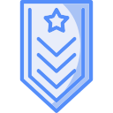 insignia icon