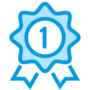 otorgar icon