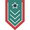 insignia icon