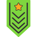 insignia