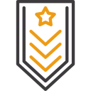 insignia