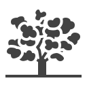 Árbol icon