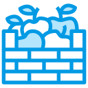 Фрукты icon