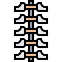 columna vertebral