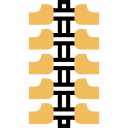 columna vertebral