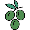 aceituna icon