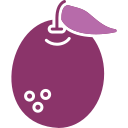 pomelo icon