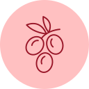 aceituna icon