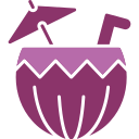 agua de coco icon