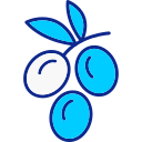 aceituna icon