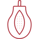 papaya icon