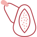 papaya icon