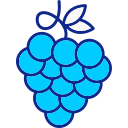 uvas icon