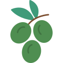 aceituna icon