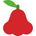 manzana java icon