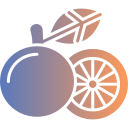 pomelo icon