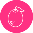 pomelo icon