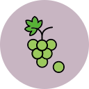 uvas icon