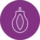 papaya icon