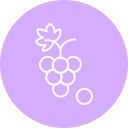 uvas icon