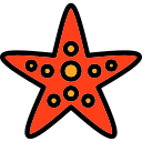 estrella de mar