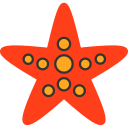 estrella de mar