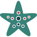 estrella de mar