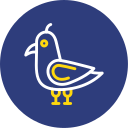 gaviota icon