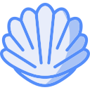 concha icon