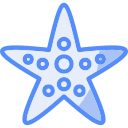 estrella de mar