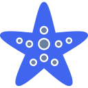 estrella de mar