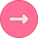 flecha correcta icon