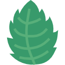 menta icon