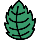 menta icon